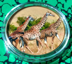 GIRAFFES #F COLORIZED GOLD/BRASS ART ROUND