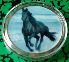 HORSE ON BEACH #Y636 COLORIZED GOLD/BRASS ART ROUND