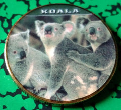 AUSTRALIA KOALA BEARS #397 COLORIZED ART ROUND