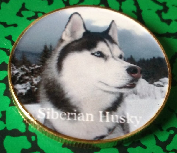 SIBERIAN HUSKY DOG #848 COLORIZED ART ROUND - 1