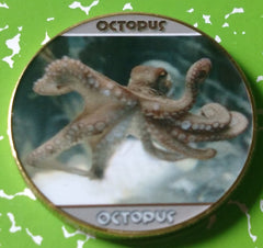 OCTOPUS #387 COLORIZED ART ROUND